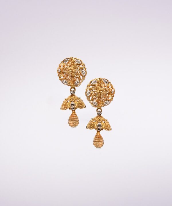 Ear Rings 23