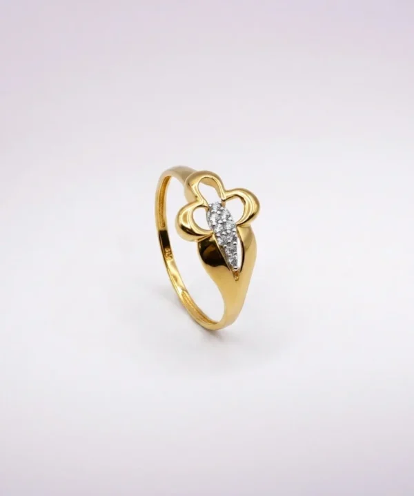 Ring 66