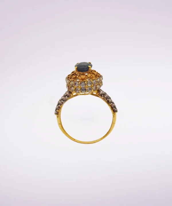 Ring 113